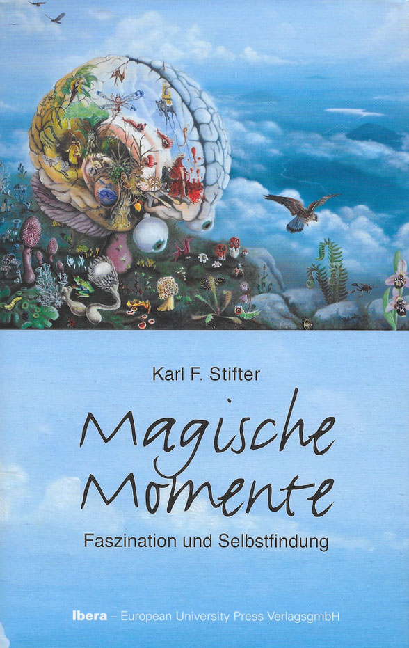 Magische Momente (Buchcover vorne)